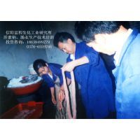 肝素鈉加工項(xiàng)目——助力農(nóng)村創(chuàng)業(yè)的投資良機(jī)